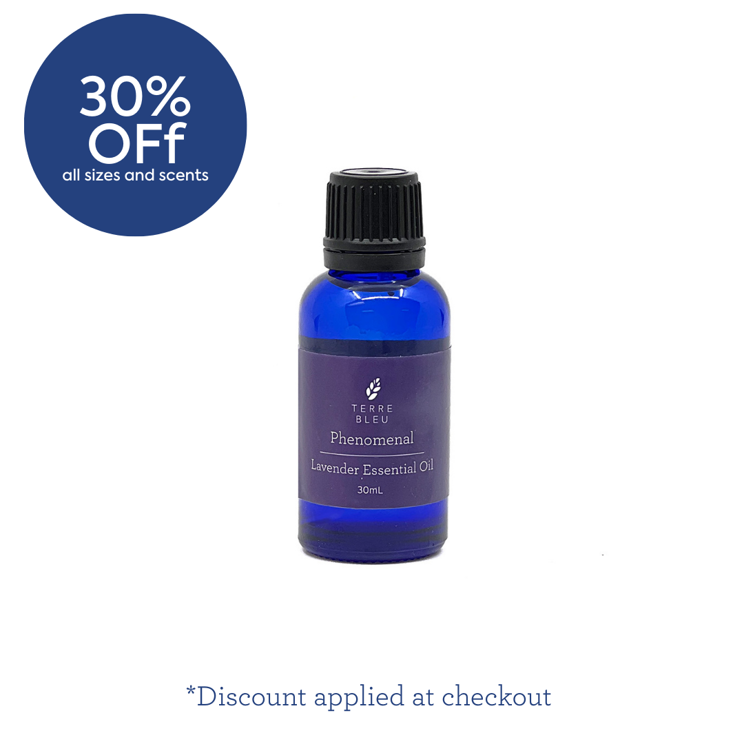 Phenomenal - French Lavender Essential Oil