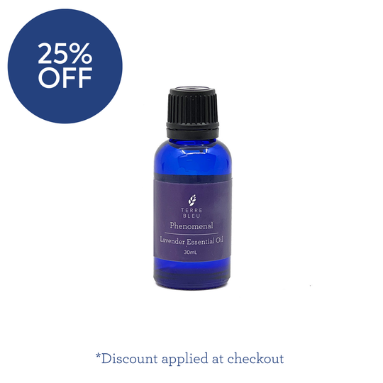 Phenomenal - French Lavender Essential Oil
