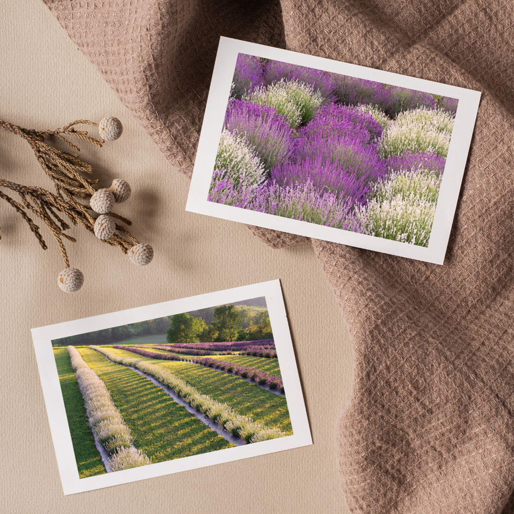 Fennario Meadows Greeting Cards- Artist Peter Dušek