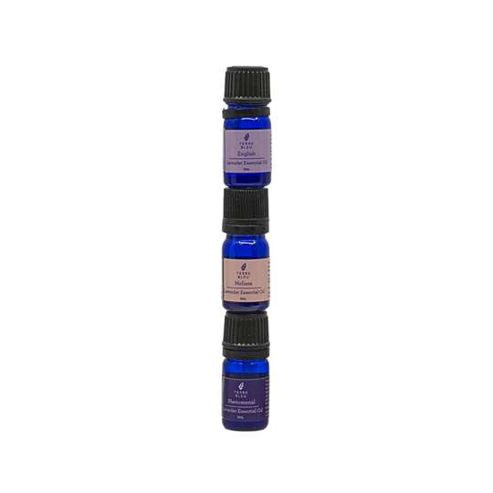 Spring Bundle - 5mL Essential Oils Variety Pack