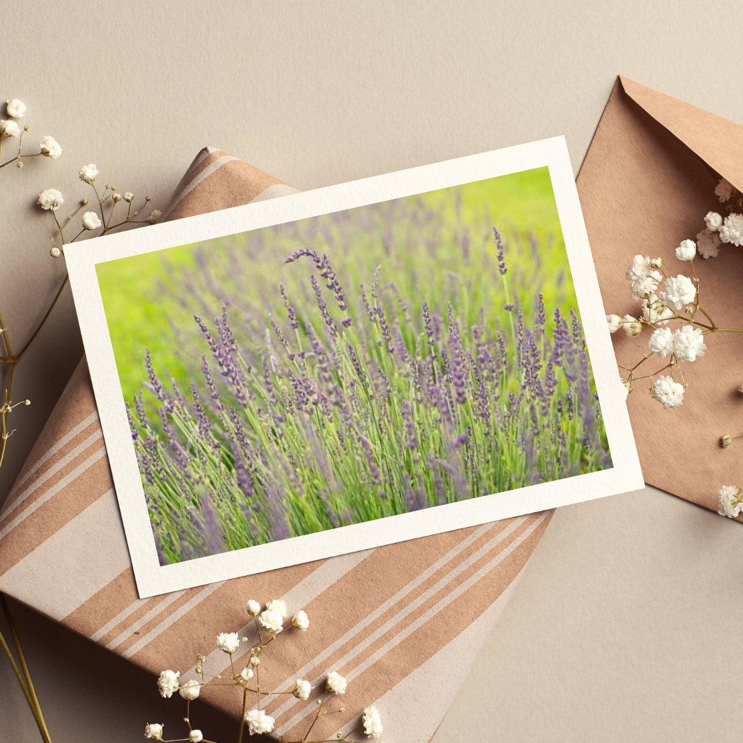 Fennario Meadows Greeting Cards- Artist Peter Dušek