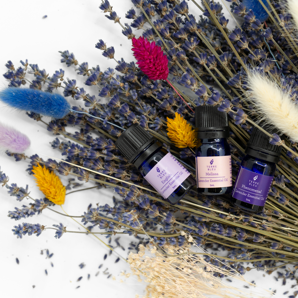 Spring Bundle - 5mL Essential Oils Variety Pack