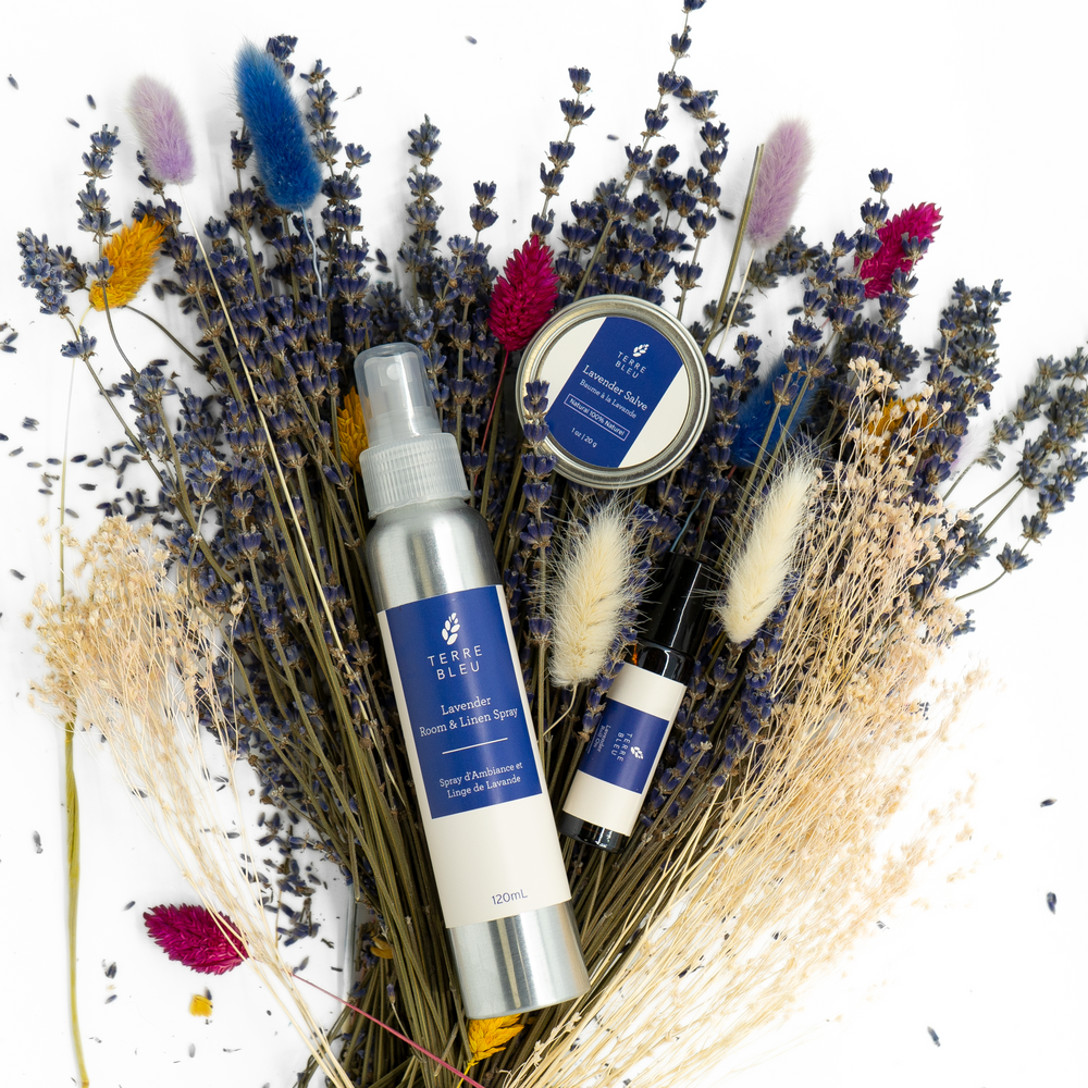 Spring Bundle - Room Spray, Salve, Roll On