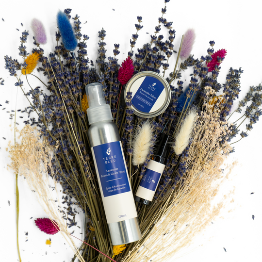 Spring Bundle - Room Spray, Salve, Roll On