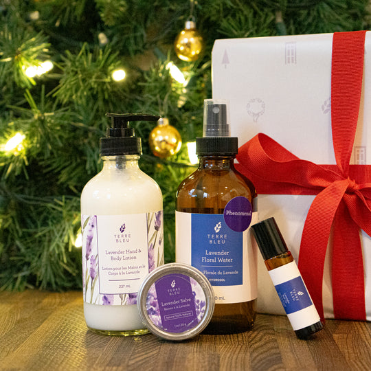 Winter Hydration Gift Set