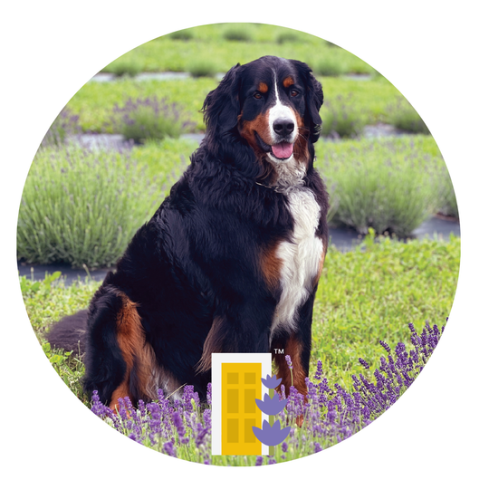 Grace Sticker