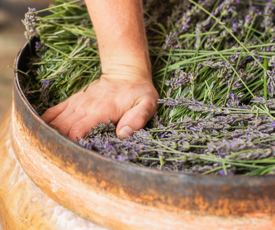 Lavender Citrus Hand Cream