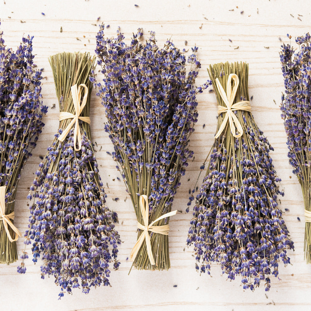 Dried Lavender Bouquet