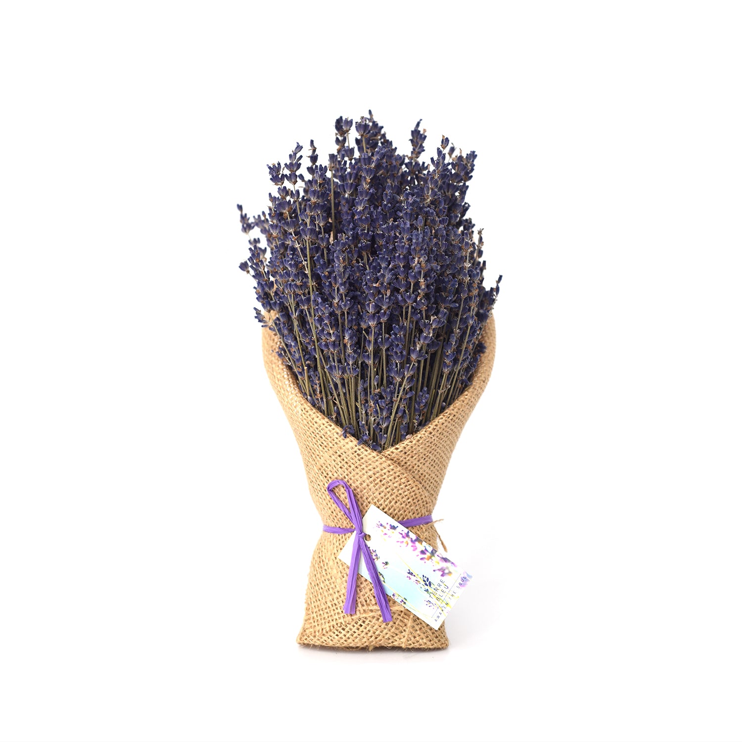 Dried Lavender Bouquet – Terre Bleu