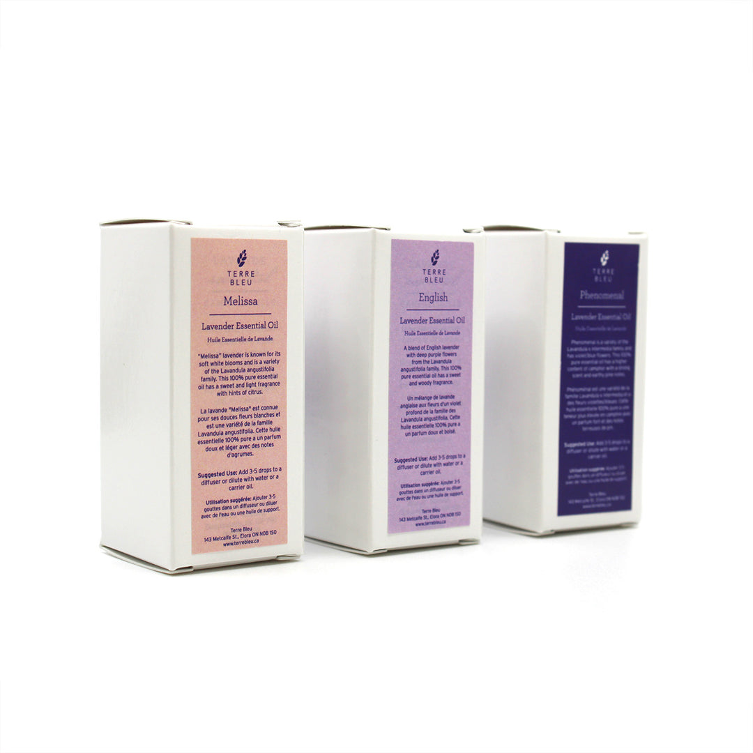 Melissa - English Lavender Essential Oil