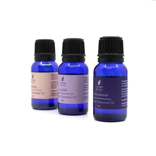 Melissa - English Lavender Essential Oil