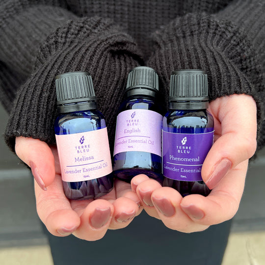Folgate - English Lavender Essential Oil